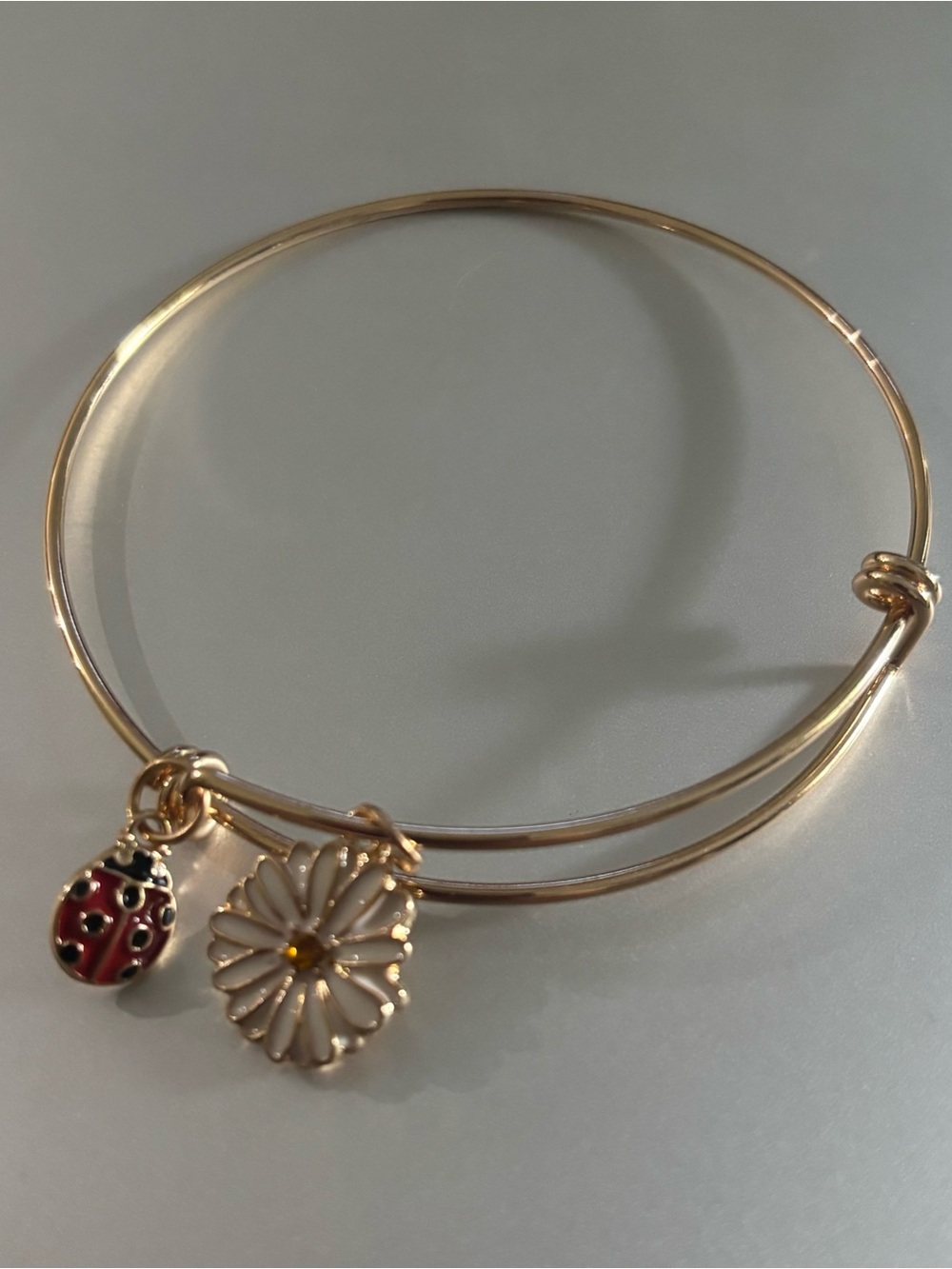 Source Unknown Gold-Tone Daisy and Ladybug Charm Bangle - White and Red